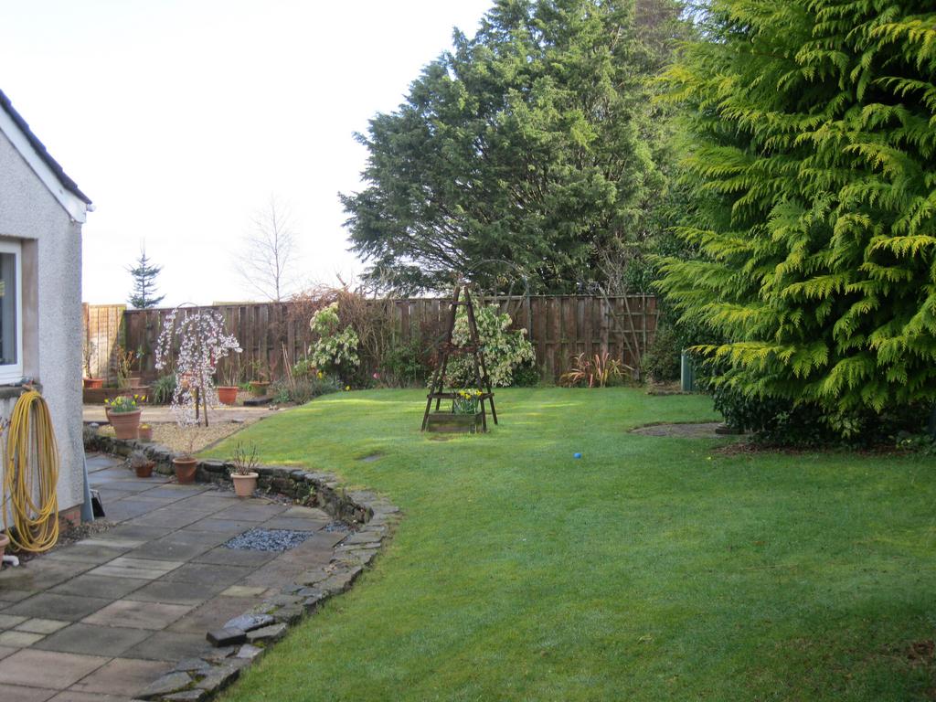 Garden c.JPG