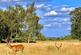 Richmond Park