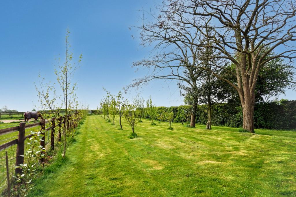 Sunshine Cottage Orchard