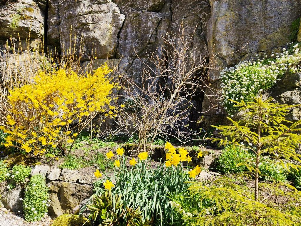 Flowers  .jpg