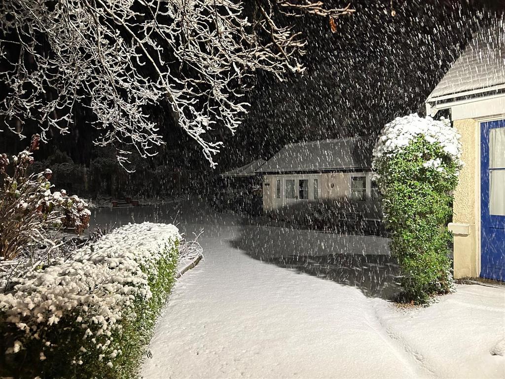 Garden and parking in the snow.jpg