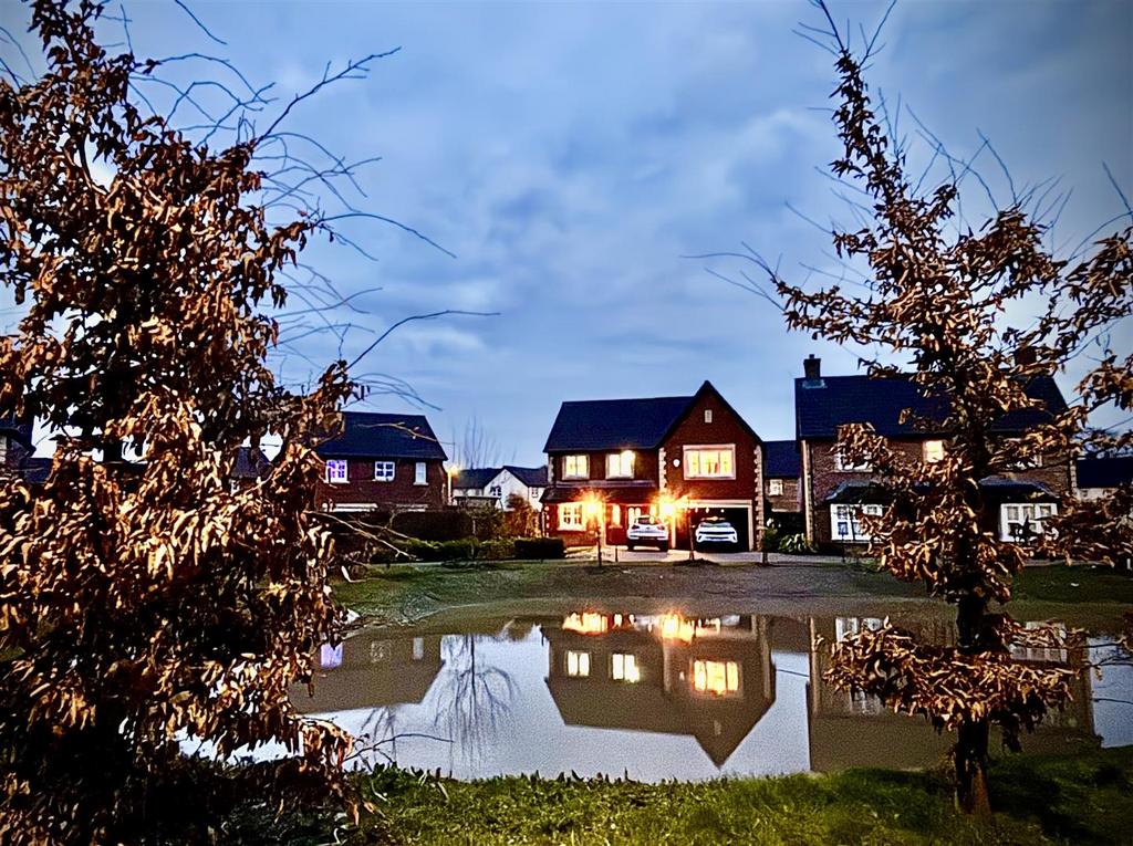 Pond.jpg