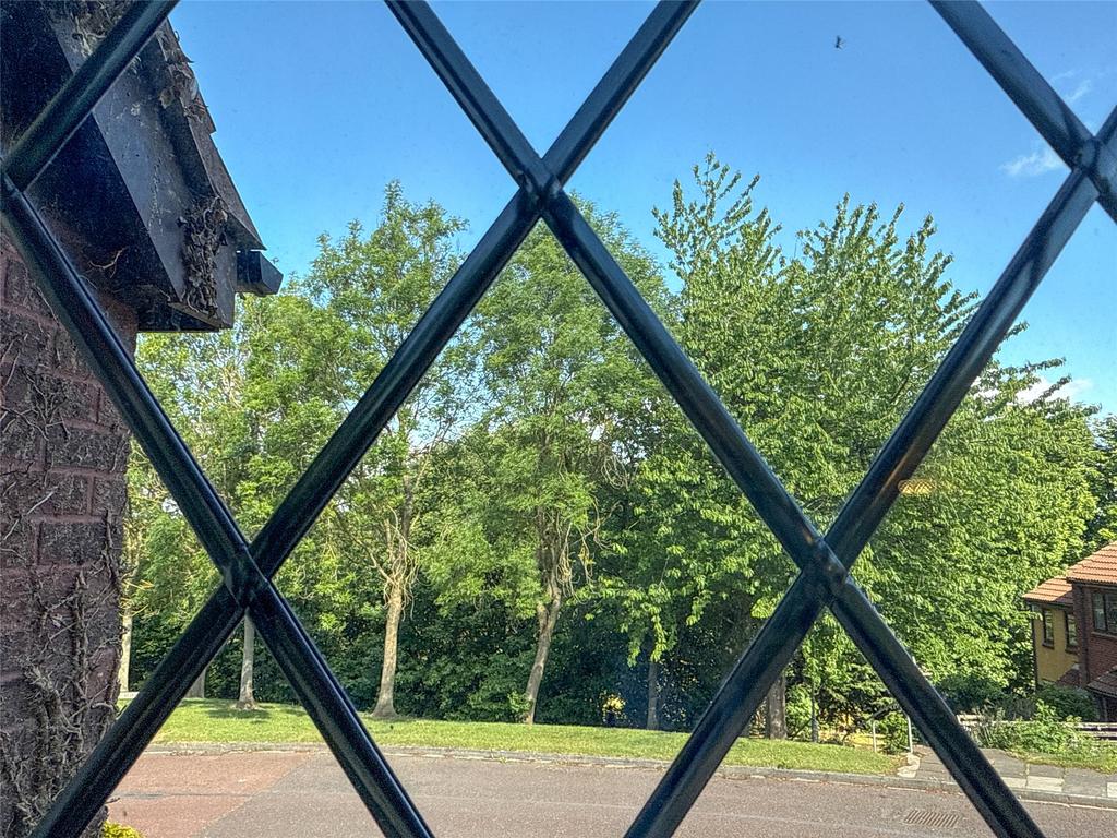 Window Outlook