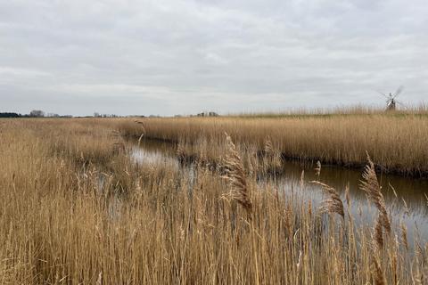 Land for sale, Marsh, Reedbed & River Wall at Limpenhoe