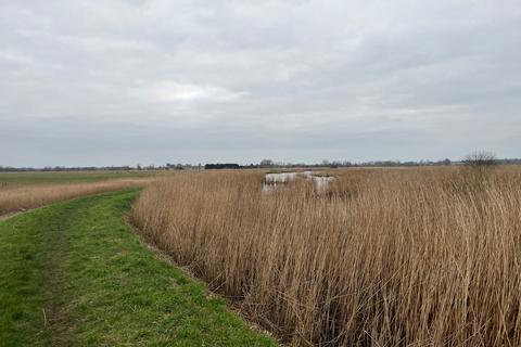 Land for sale, Marsh, Reedbed & River Wall at Limpenhoe