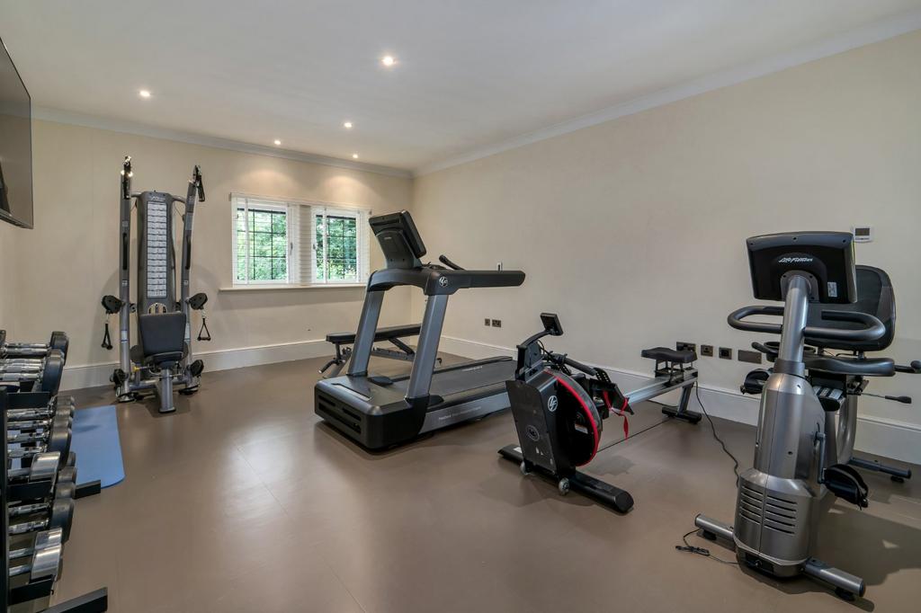 Bedroom/Gym