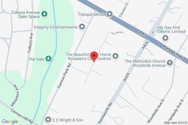 Google Maps Image