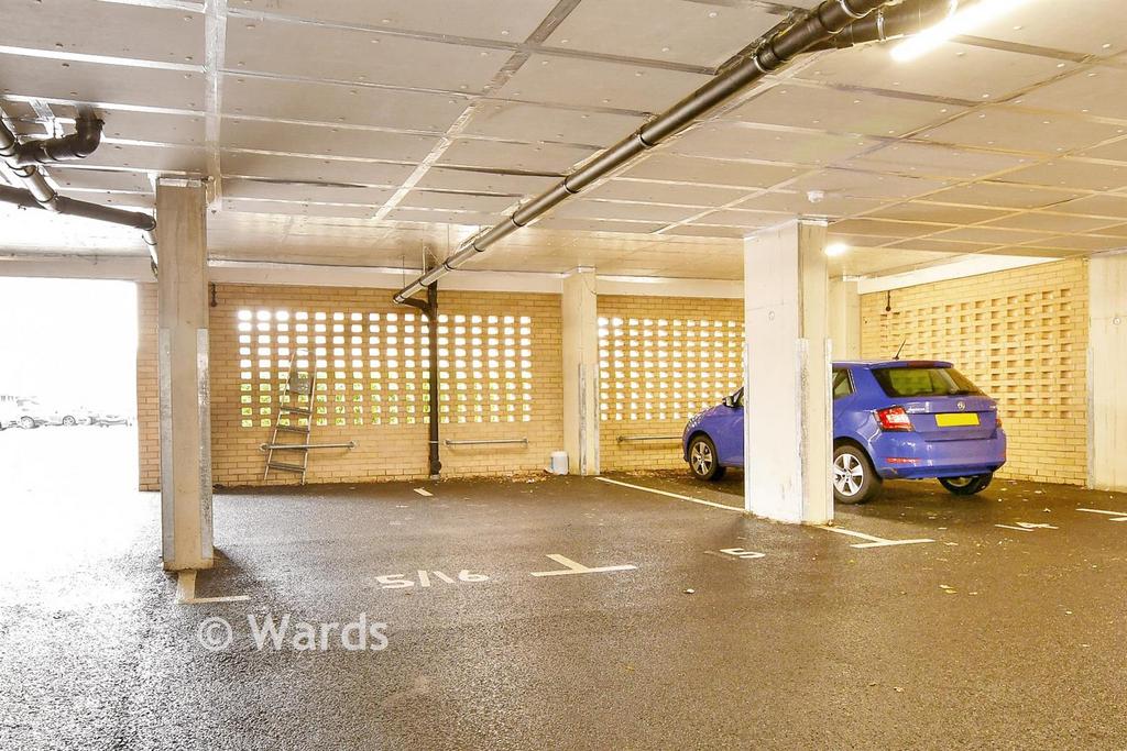 Driveway/Parking