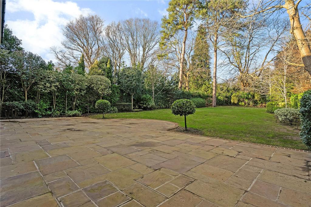 Rear Patio