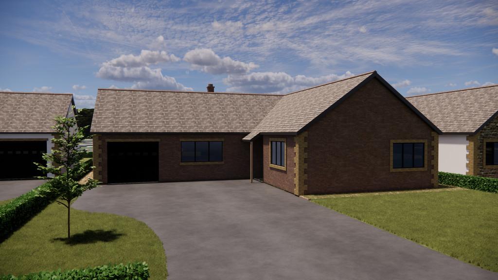 Plot 8