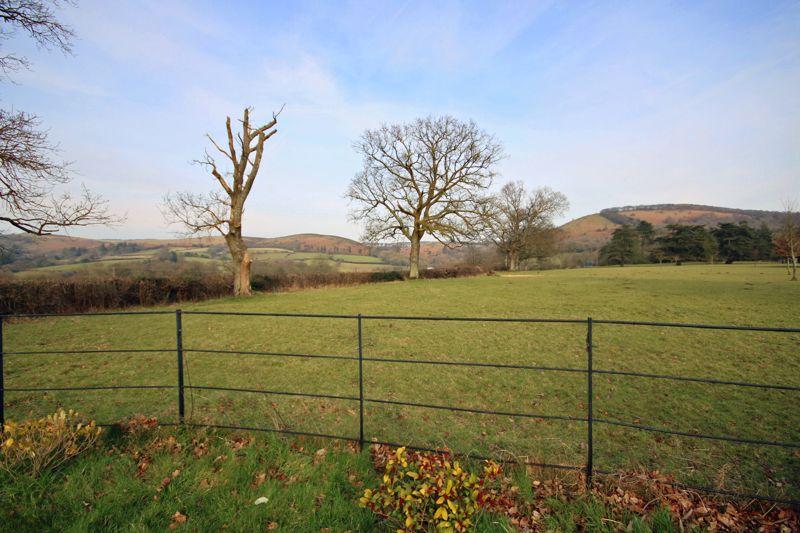 View from Garden