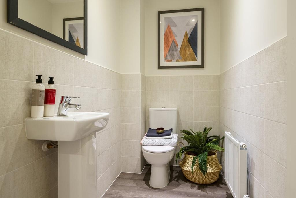 A handy downstairs toilet