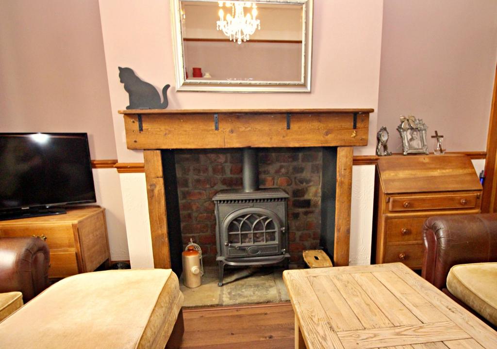 Stove Living Gas Fire