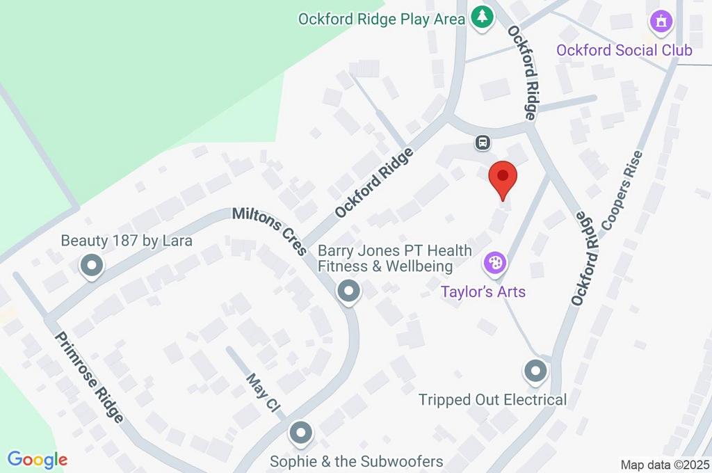 Google Maps Image