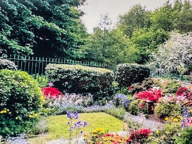 Owners beautiful garden shot