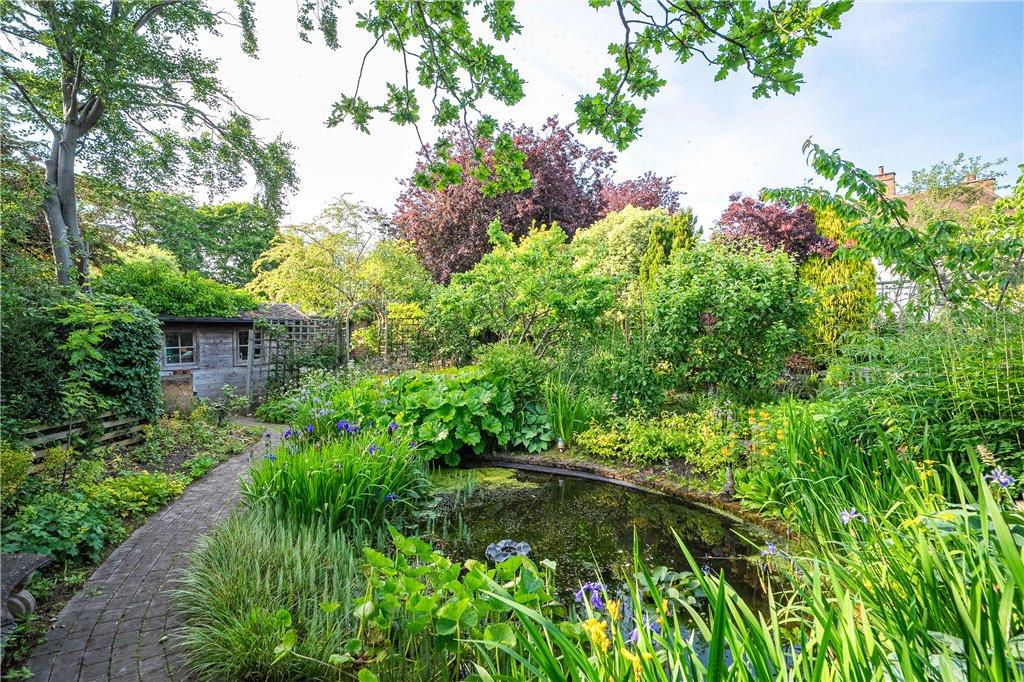 Pond
