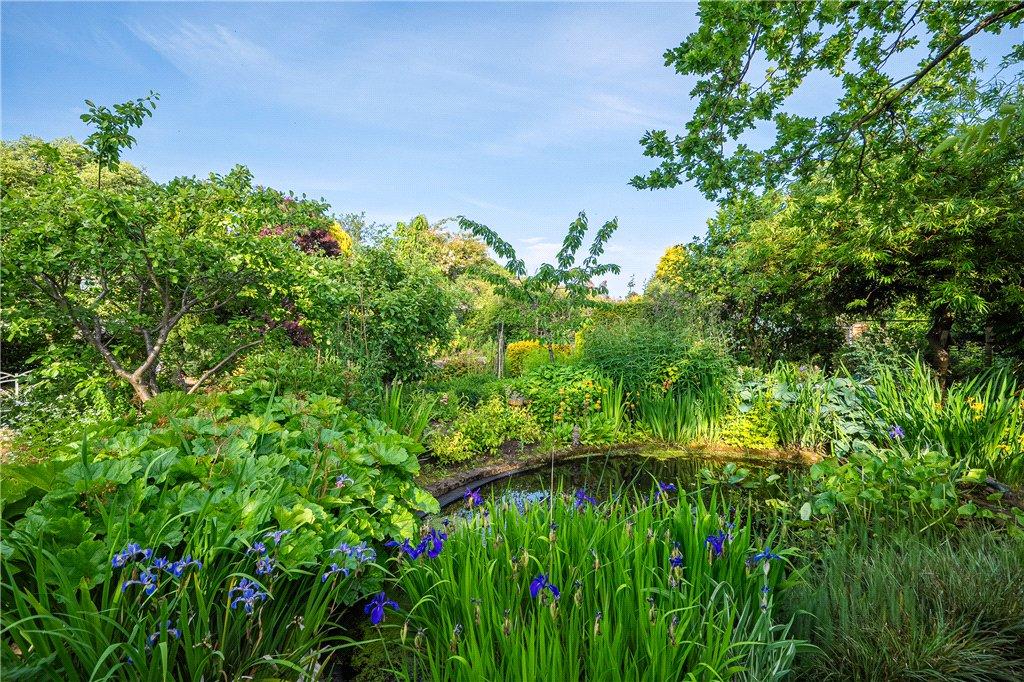 Pond