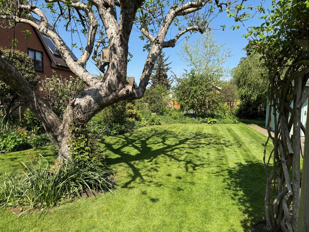 Woodbine gdn 4