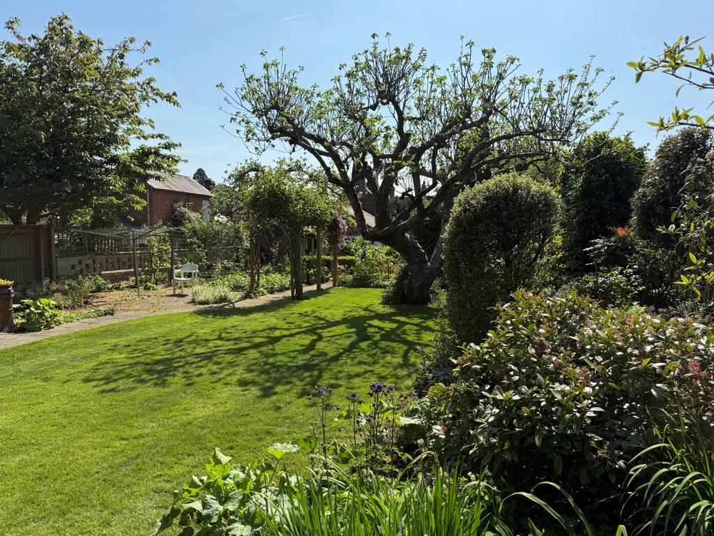 Woodbine gdn