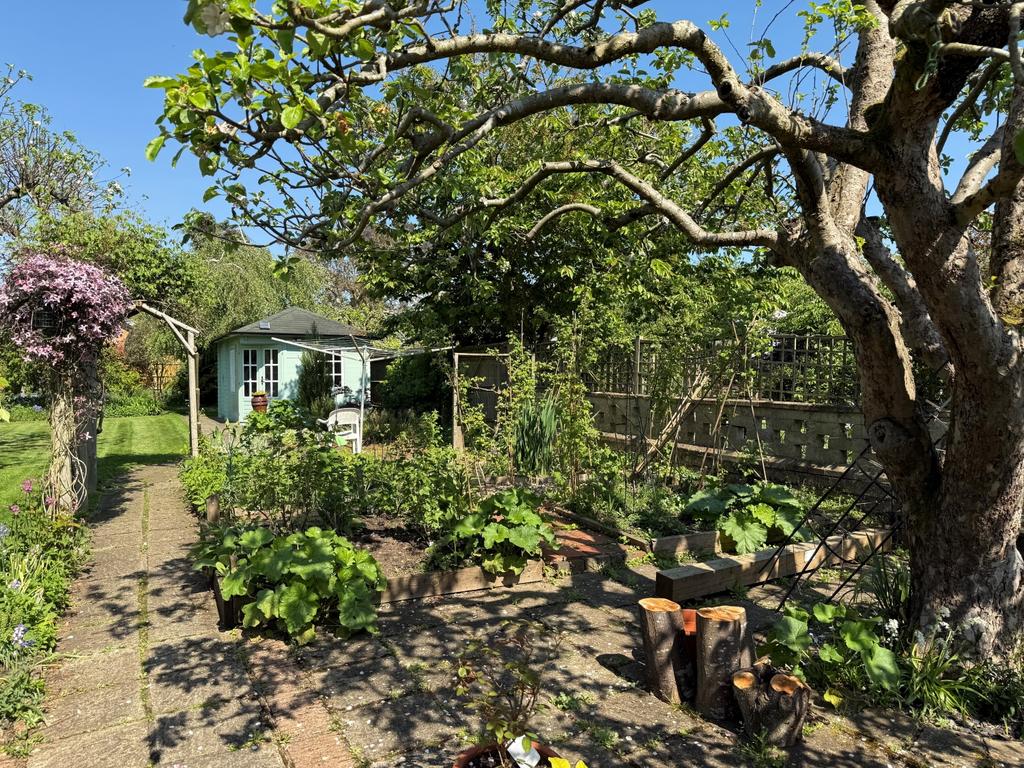 Woodbine gdn 5