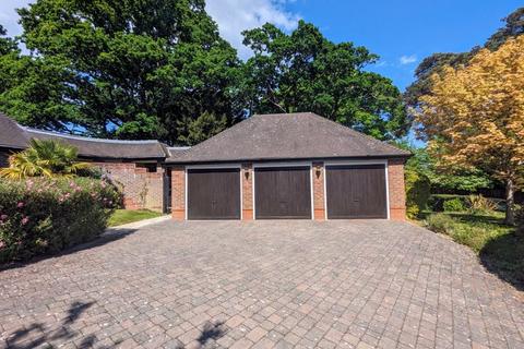 undefined, The Rise, Brockenhurst
