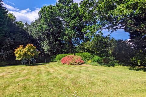 undefined, The Rise, Brockenhurst