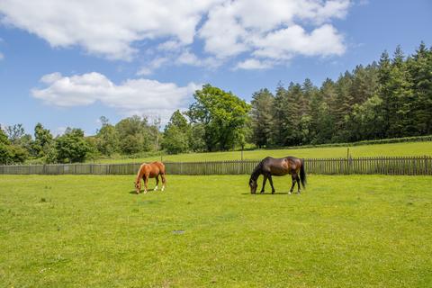 Bungalow for sale, Moyles Court, Rockford, Ringwood, Hampshire, BH24