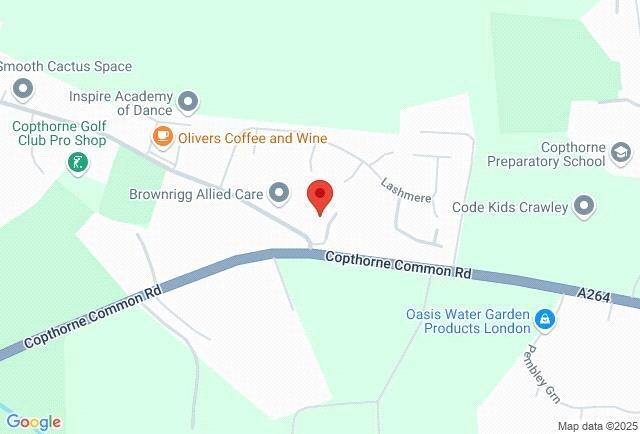 Google Maps Image