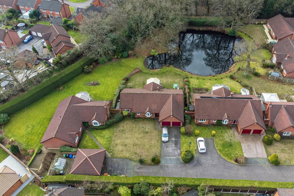 Drone View