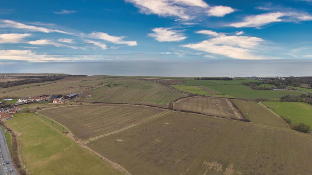 Field and sea