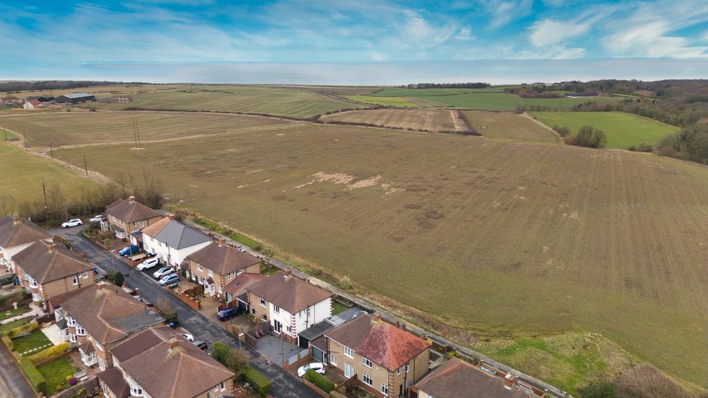 House and field