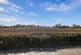1 Bulstrode Cottage, Chipperfield WD4 9LU photo 4