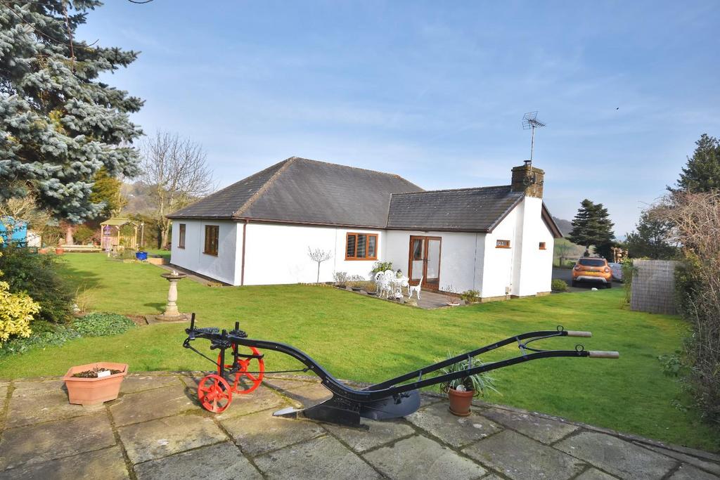 Rear garden.jpg