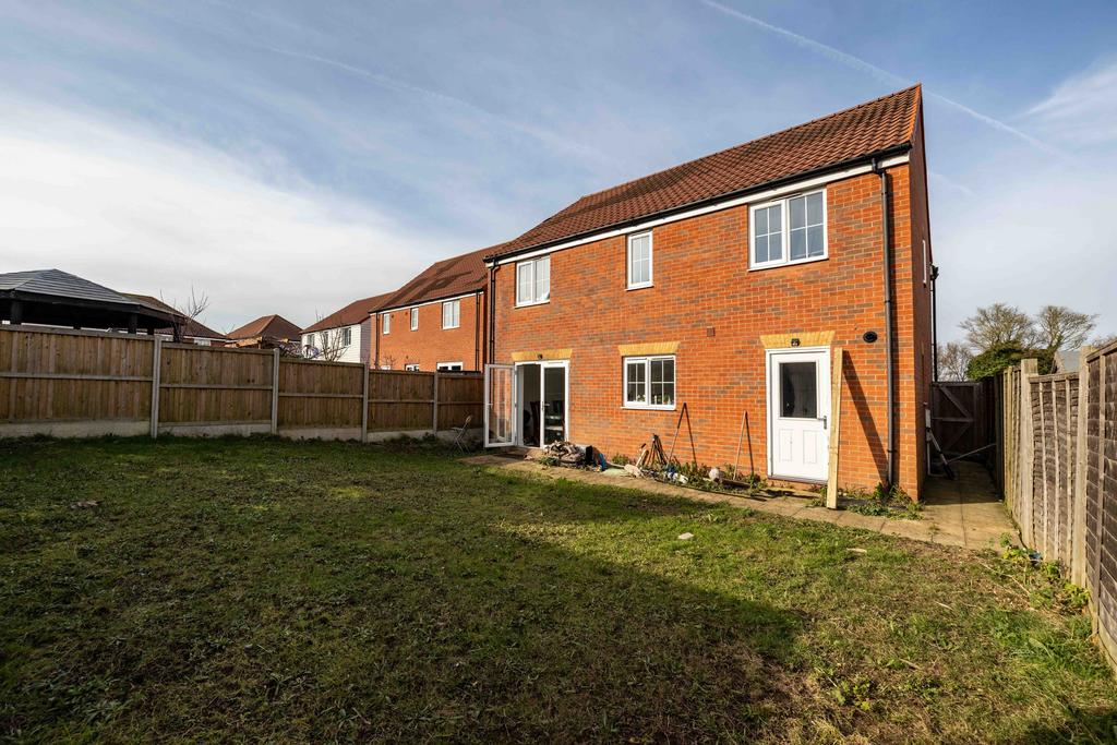 Picture 16