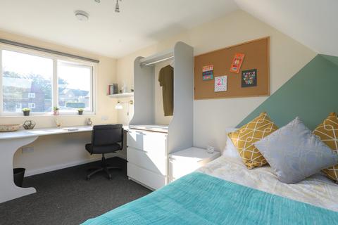 1 bedroom house of multiple occupation to rent, Colbourne Avenue, Brighton BN2