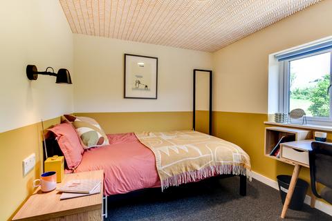 1 bedroom house of multiple occupation to rent, Bodiam Avenue, Brighton BN2