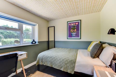 1 bedroom house of multiple occupation to rent, Bodiam Avenue, Brighton BN2