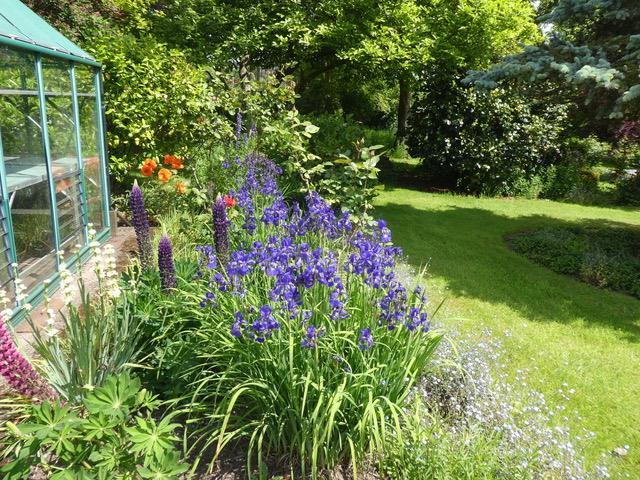 Flowerbeds