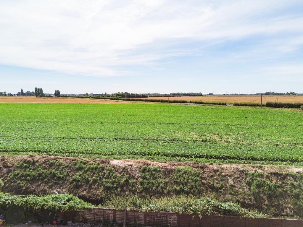View from rear of property