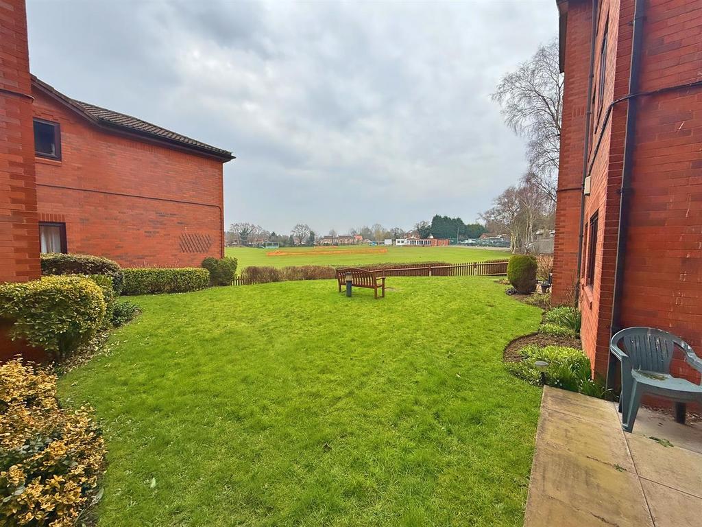 15.jpg