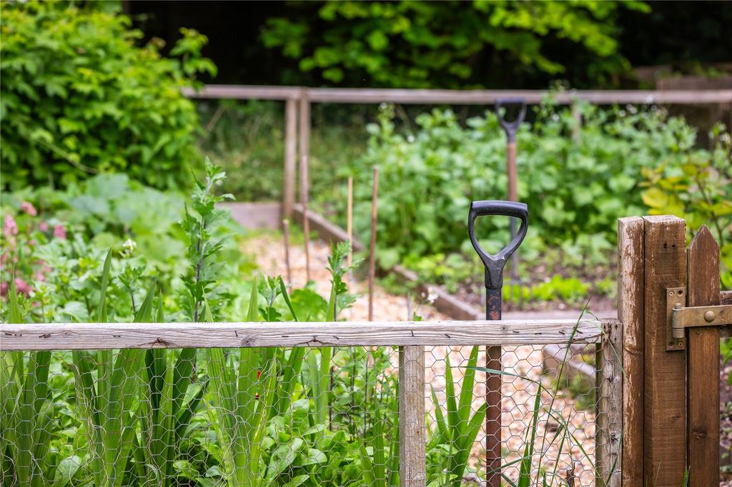Vegetable Garden