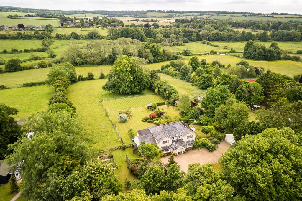 Drone View