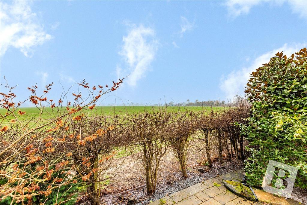 Farmland Views