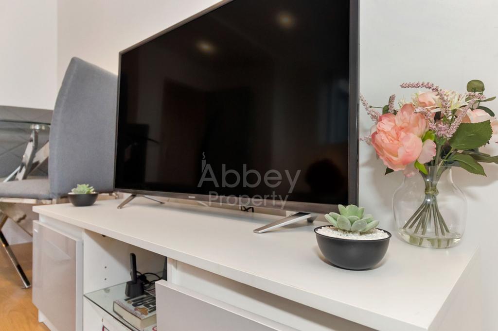 TV not included