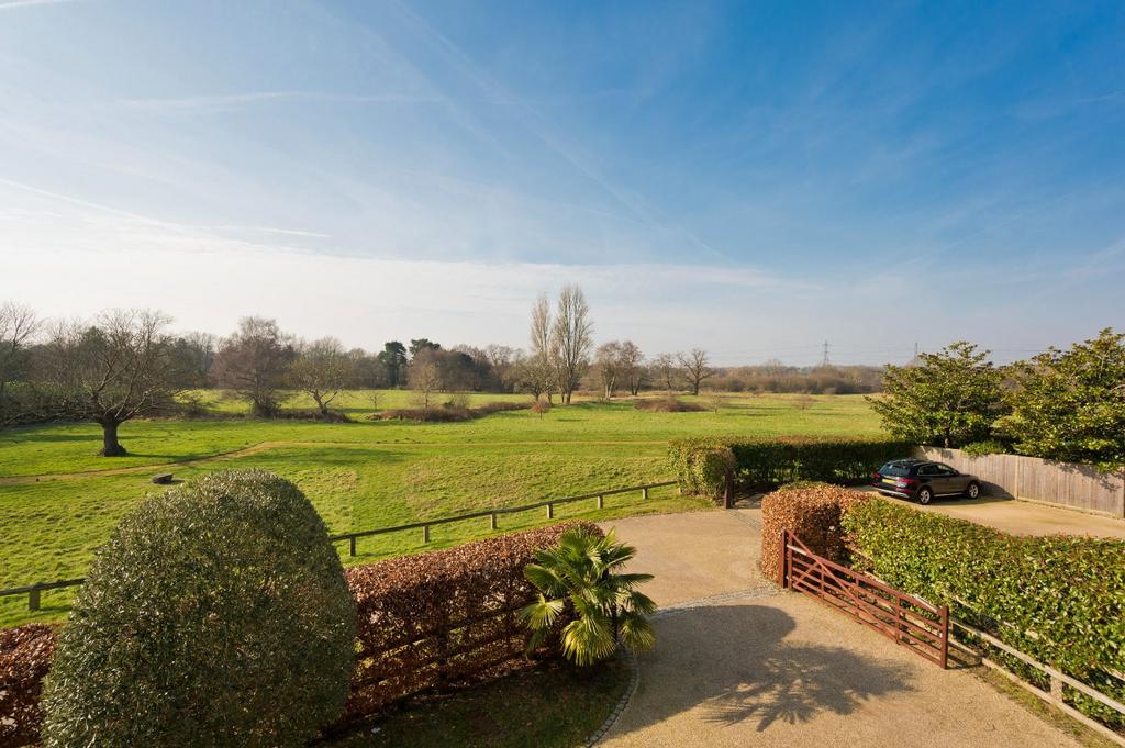 Meadow View