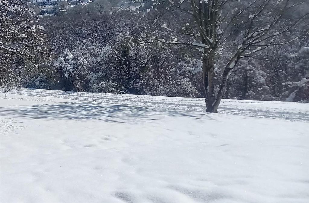 Vendors photo of the grounds in winter