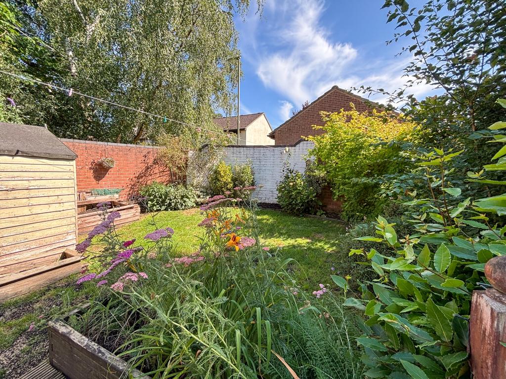Back Garden