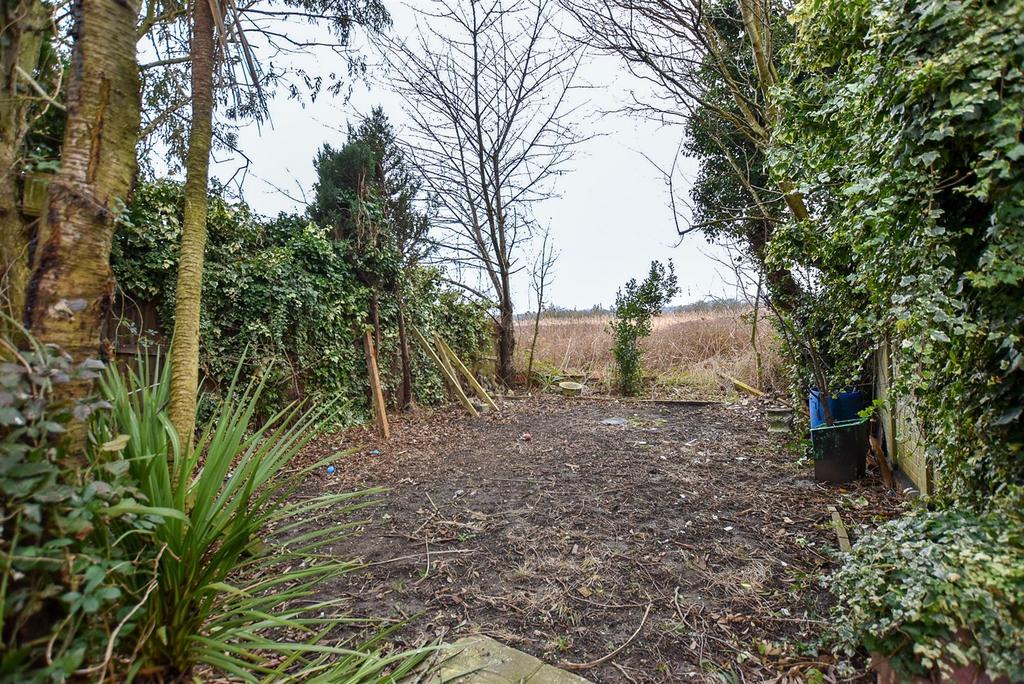 Garden..jpg