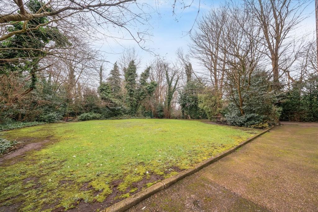 Garden view, garden