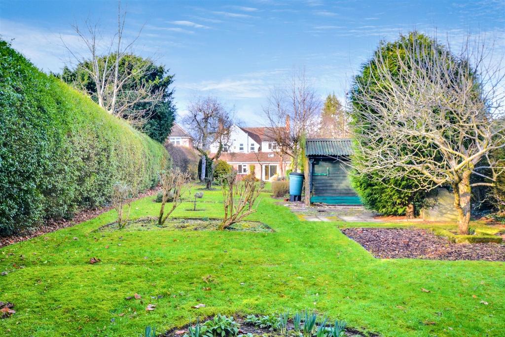 Garden 7.jpeg